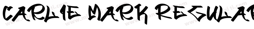 Carlie Mark Regular字体转换